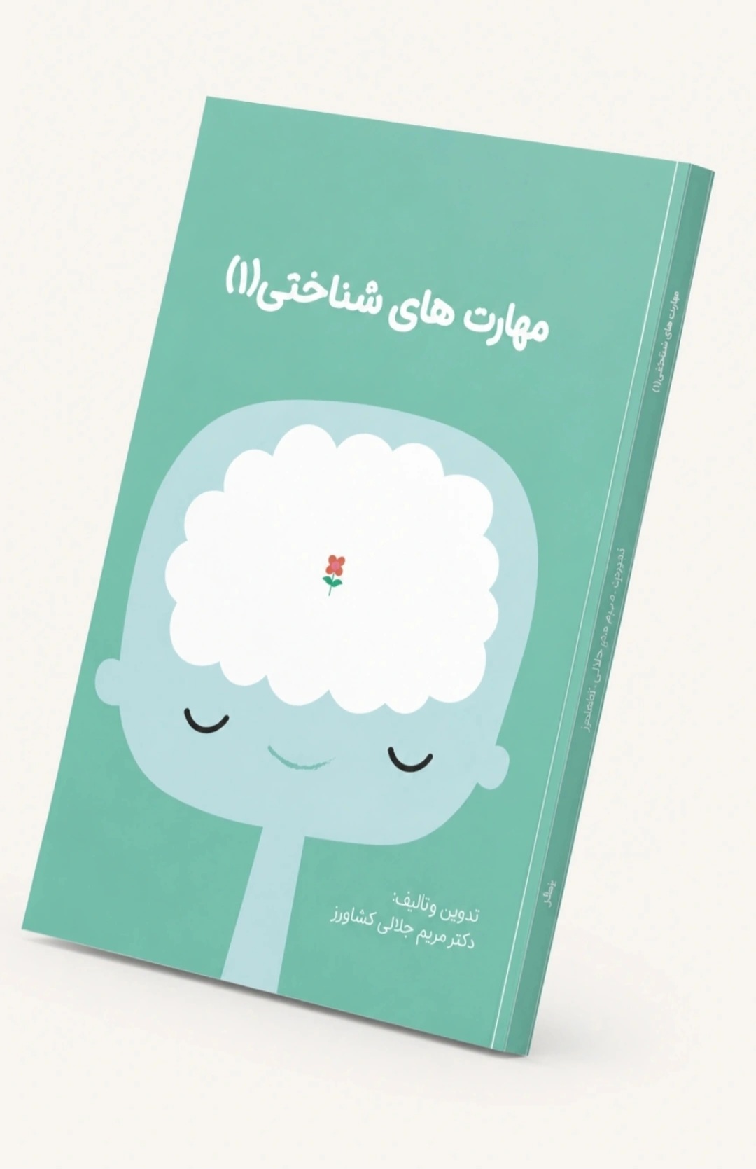 مهارتهای شناختی(1)